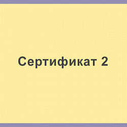 Сертификат 2